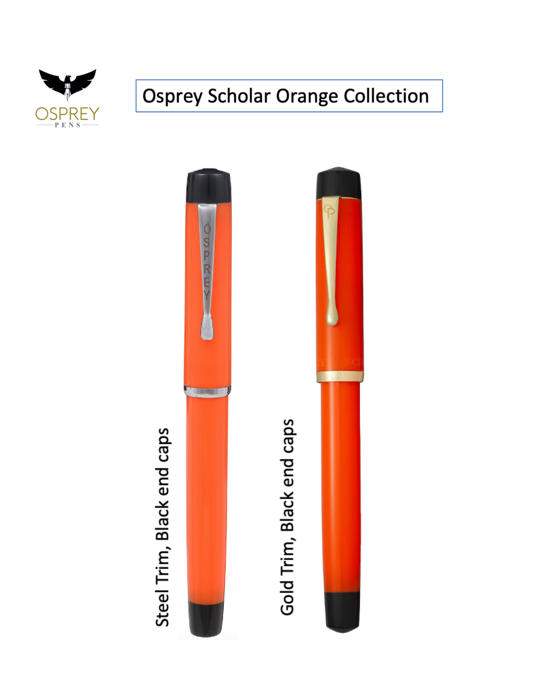 良上品 Parker Duofold ボールペン オレンジ SCHOLAR - DUOFOLD ORANGE with Standard and Flex nib options
